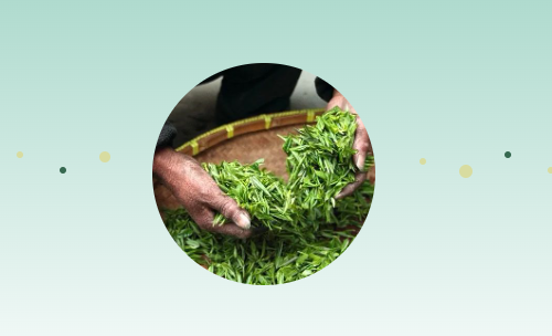 1681968746186557.png 1111.png