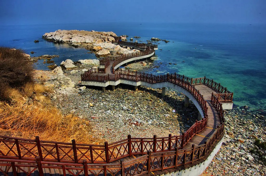 1658126199134354.jpg 65250.jpg